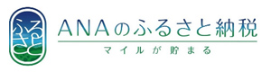 ANAのふるさと納税