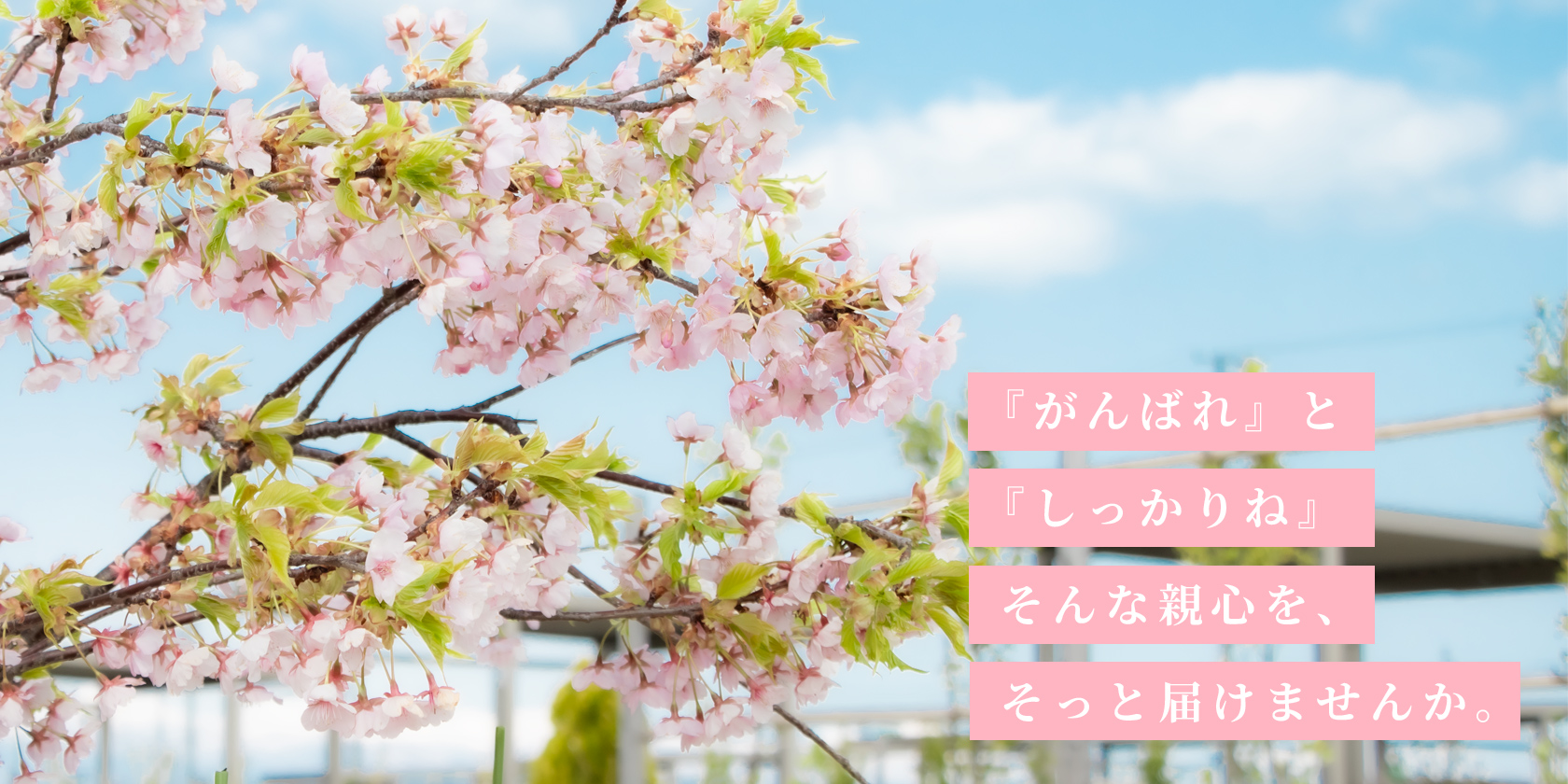 春の新生活応援キャンペーン